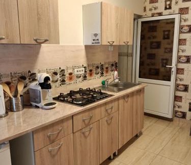 Arad Apartment | Apartament Andreas - centru, confort si relaxare