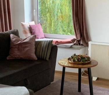 Singen Apartment | Apartament Blumenblick