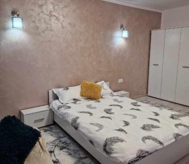 Resita Apartment | Apartament cu o camera