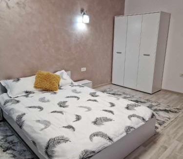 Resita Apartment | Apartament cu o camera
