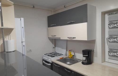Tirgu Ocna Apartment | Apartament Daniel