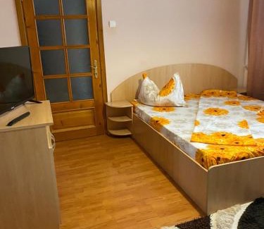 Baile Felix Apartment | Apartament Darya