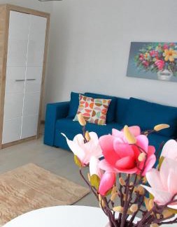 Bumbesti-Jiu Apartment | Apartament Delora View