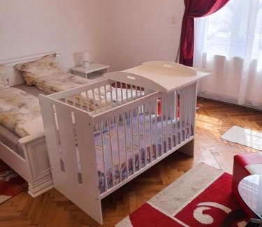 Old City Apartment | Apartament Enescu