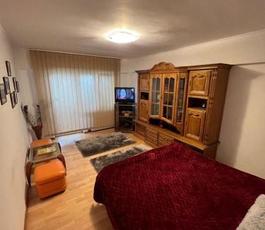Gura Humorului Apartment | Apartament GABRIELA