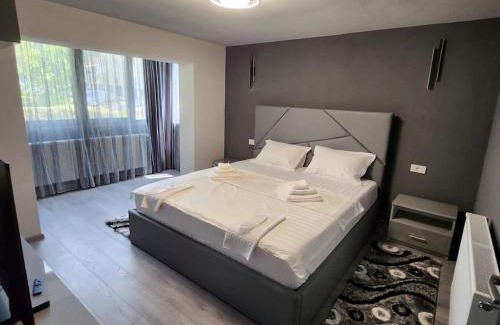 Curtea De Arges Apartment | Apartament Iulius 3 camere
