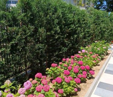 Akhtopol Apartment | Apartament Kali