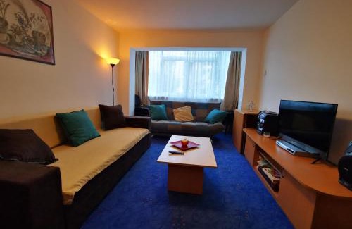 Azuga Apartment | Apartament langa castan