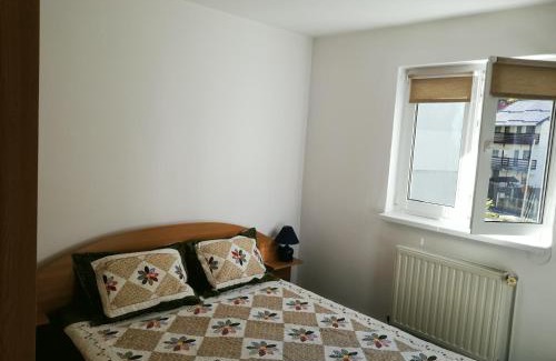 Azuga Apartment | Apartament langa castan