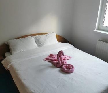 Azuga Apartment | Apartament langa castan