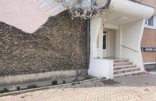 Viseu de Sus Apartment | Apartament Luxury