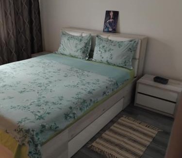 Tirgu Neamt Apartment | Apartament Manu Tg Neamt
