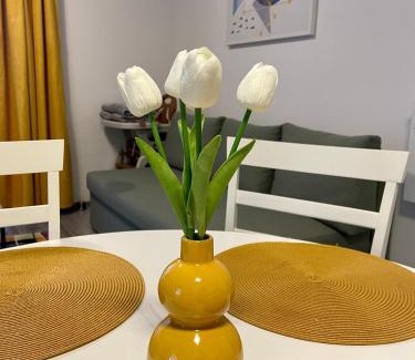 Cordau Apartment | Apartament Mara