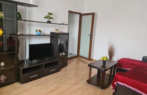 Doua Mai Apartment | Apartament Mario Forty