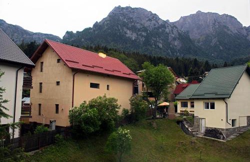 Busteni Apartment | Apartament Mountain Life
