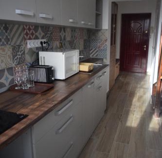 Baia Mare Apartment | Apartament Nicolae Iorga RHBM