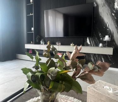 Timisoara Apartment | Apartament/penthouse SSARA