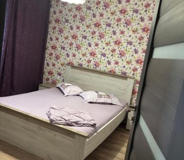 Calimanesti Apartment | Apartament Radu