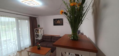 Tirgu Mures Apartment | Apartament Relaxa Green 3 - 2 Rooms - AC - Parking