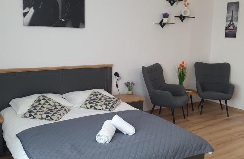 Tirgu Mures Apartment | Apartament Relaxa Green 2 Studio AC Parking