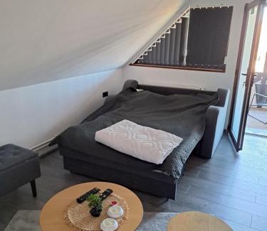 Pauleni-Ciuc Apartment | Apartament