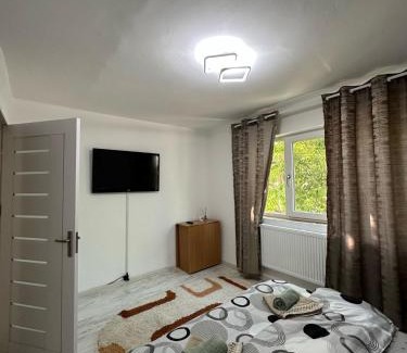 Craiova Apartment | Apartament Rovine