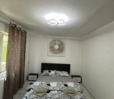 Craiova Apartment | Apartament Rovine