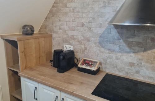 Bistrita Apartment | Apartament The Bricks 1903