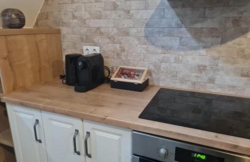 Bistrita Apartment | Apartament The Bricks 1903