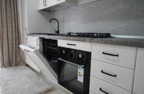 Curtea De Arges Apartment | Apartament ultracentral NICOL