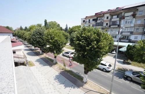 Curtea De Arges Apartment | Apartament ultracentral NICOL