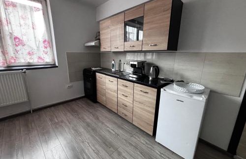 Vatra Dornei Apartment | Apartament ultracentral Vatra Dornei