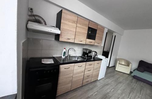 Vatra Dornei Apartment | Apartament ultracentral Vatra Dornei