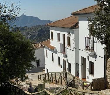 Benaocaz Apartment | apartamento arroyo