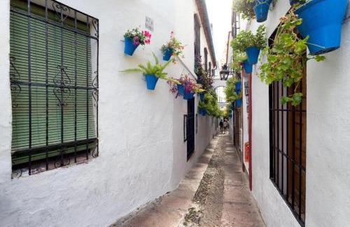 San Francisco-Ribera Apartment | APARTAMENTO CAREY