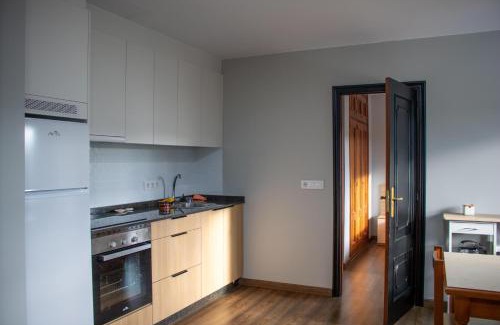 Val do Dubra Apartment | Apartamento Centro Bembibre