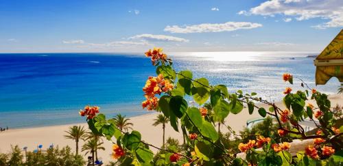 Raval Roig Apartment | Apartamento Deluxe Playa Alicante