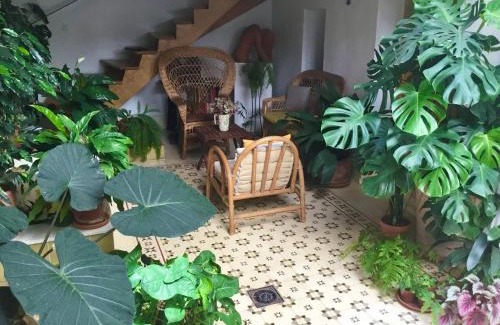 La Catedral Apartment | Apartamento en Casa Patio "Pan y Conejo"