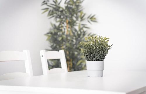 Ferrol Apartment | Apartamento Estrela