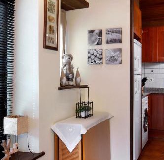 Gausach Apartment | Apartamento La Santeta de Aran
