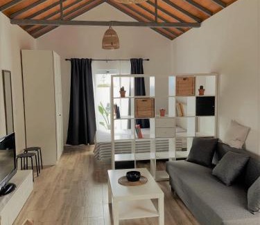 Villa de Mazo Apartment | Apartamento MAYATA DELUXE