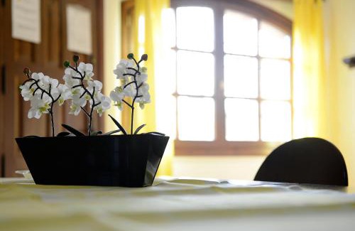 Alquezar Apartment | Apartamentos Bellavista