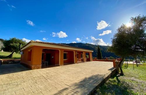 Benaojan Apartment | Apartamentos Cedro Alto