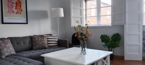 Tui Apartment | Apartamentos Mirador de San Telmo