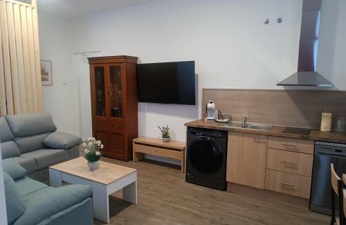 Avila Apartment | ApartamentosTuristicos Avila Puerta del Alcazar 0-1