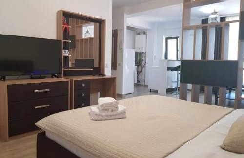 Sector 2 Apartment | Aparthomes Fundeni