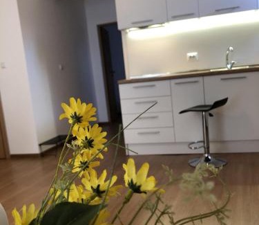 Old Town Hotel | Aparthotel Elly