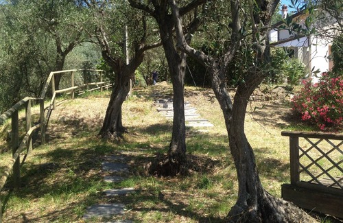 Castelnuovo Magra Apartment | Apartments Casa Sarticola