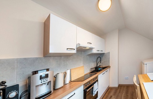 Koenigstein Apartment | Apartment 'Caper-David-Friedrich' with Mountain View and Wi-Fi
