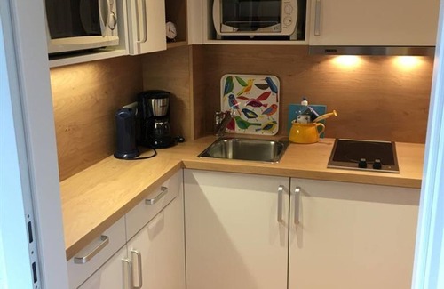 Ramsau am Dachstein Apartment | Apartment/1 bedroom/shower, WC - Haus Werner